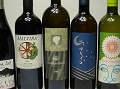 PonteVino_5 mini.jpg